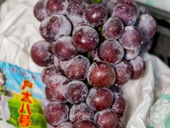 -西郊国际农产品交易中心