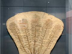 -大连自然博物馆·地球展厅