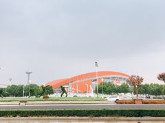 -南京奥林匹克体育中心-体育馆