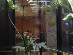-Soloist 独奏公司(798店)