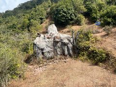 -天龙顶山地公园