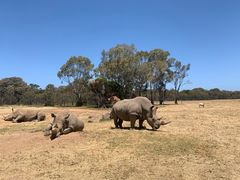 -威勒比开放式动物园