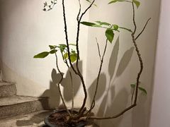 -花迹(富春江东街店)