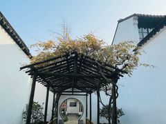 -拙政园