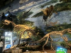 -自贡恐龙博物馆
