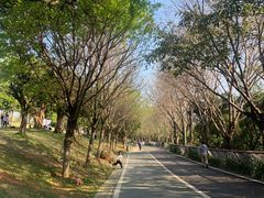 -飞凤山奥体公园
