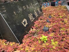 -同济大学附属口腔医院
