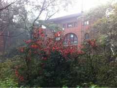 -中山大学学者灵芝(园南路店)