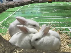 -海合安青岛极地海洋公园