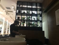 点击看大图 -东方麒麟·潘多拉SALON