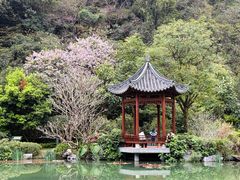 -云溪植物园