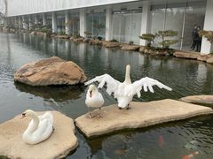 -罗红摄影艺术馆