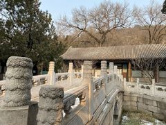 -颐和园