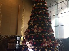 -青岛海尔洲际酒店