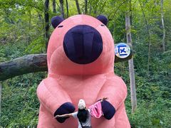 -石燕湖生态旅游景区