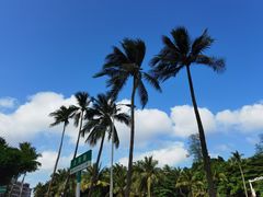 -文昌邓记清补凉(西沙路店)