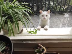 -小世界西餐厅(建国门店)