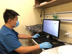 -萌兽医馆·犬猫专科·眼科中心·宠物医院(朝阳门分院)