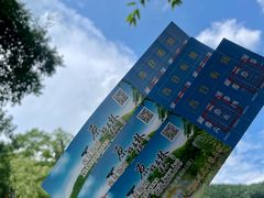 -西双版纳原始森林公园