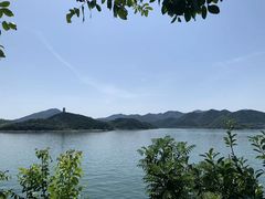 -望湖烤鱼