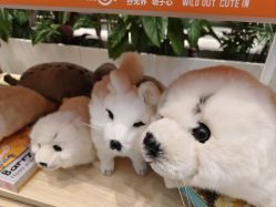 -IMON·HANSA潮玩玩偶毛绒玩具(通州万象汇店)