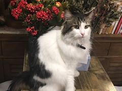 -小时光咖啡馆(北锣鼓巷店)