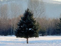 -北极村旅游风景区