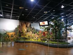 -陕西自然博物馆