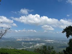 -黄埔油麻山森林公园