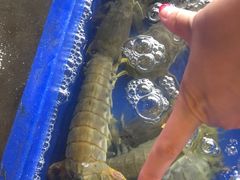 -幸福姐海鲜大排档