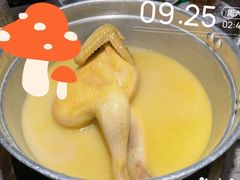 金牌花胶浓汤鸡煲-禄婶鸡煲·打边炉