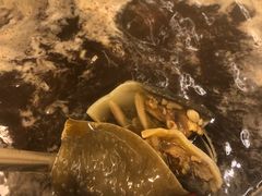 -甲鱼火锅(北村小区店)