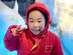 -海合安成都极地海洋公园