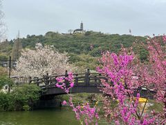 -苏州上方山国家森林公园
