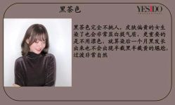 -YESIDO椰岛造型烫发染发