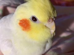 -雨林宠物医院 非犬猫异宠专科