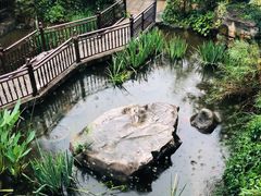 -聚缘堂·海鲜私房菜(松岭路店)