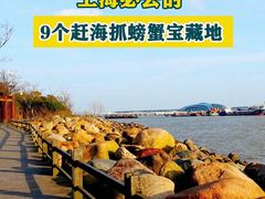 -上海吴淞炮台湾国家湿地公园