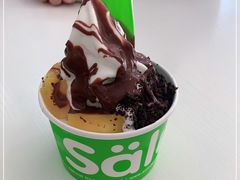 -Salud撒露欧洲冻酸奶(798艺术区店)