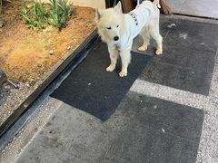 -温州博物馆