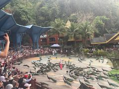 -西双版纳原始森林公园