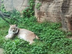 -杭州野生动物世界