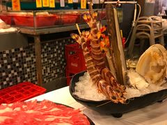 -鲜入围煮花胶鸡海鲜火锅