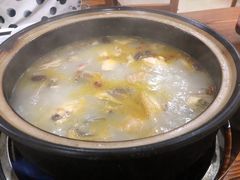 -15年老字号鑫鑫猪肚鸡·椰子鸡海南火锅(兴隆华侨农场店)