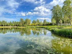 -东郊湿地公园