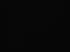 -东方饺子王(哈西万达店)