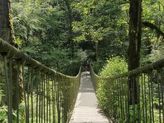 -龙苍沟森林公园