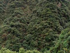 -宁波五龙潭景区