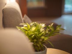 -岳阳阿波罗御庭酒店(岳阳楼区南湖广场店)