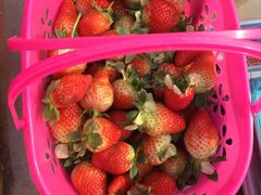 -武汉开心果园农业发展有限公司